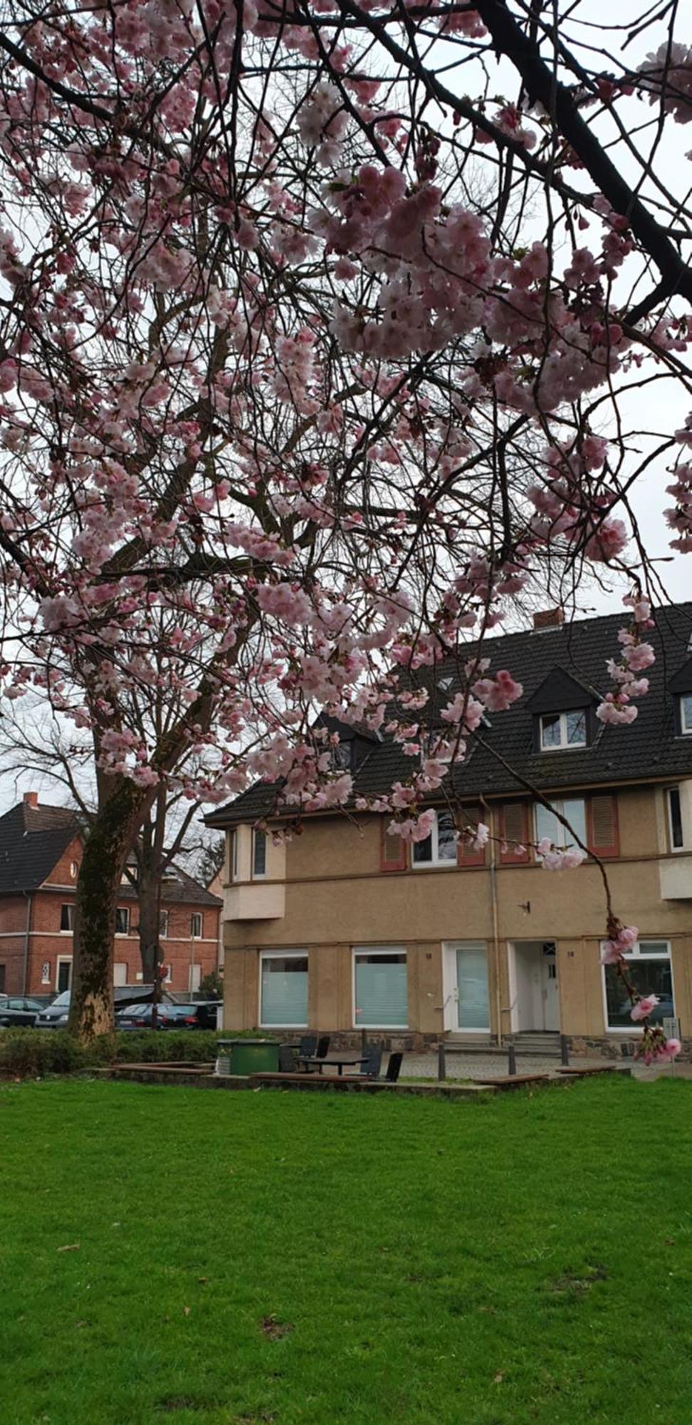 Apartment Wedau Duisburg Eksteriør billede